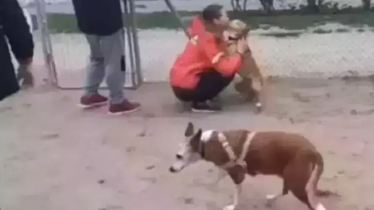 അഞ്ചു വര്‍ഷം മുന്‍പ് കാണാതായ നായയും ഉടമയും വീണ്ടും കണ്ടുമുട്ടിയപ്പോള്‍; ലോകത്തിലെ ഏറ്റവും മനോഹരമായ കാഴ്ചയെന്ന് സോഷ്യല്‍മീഡിയ