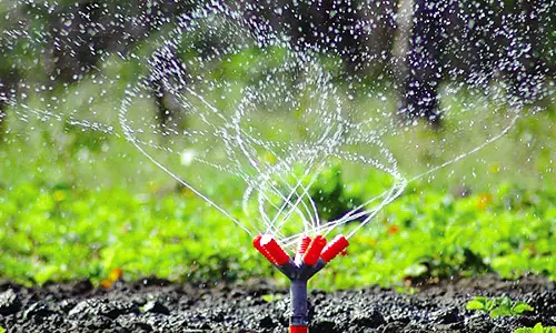 കാര്‍ഷിക ഫാമുകളിലേക്കുള്ള ജലവിതരണം   ഉറപ്പാക്കുന്നതിനായി നടപടികള്‍ ആരംഭിച്ചു