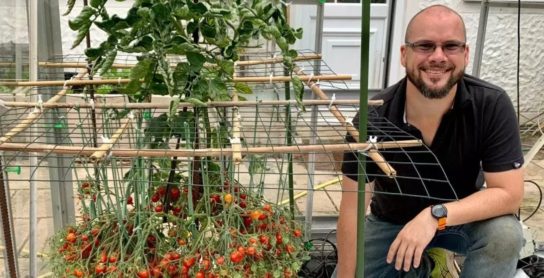 ഒറ്റച്ചെടിയില് 1269 തക്കാളികള്; ഗിന്നസില് ഇടം പിടിച്ച് ബ്രിട്ടീഷ് കര്ഷകന് ഒറ്റച്ചെടിയില് 1269 തക്കാളികള്; ഗിന്നസില് ഇടം പിടിച്ച് ബ്രിട്ടീഷ് കര്ഷകന്