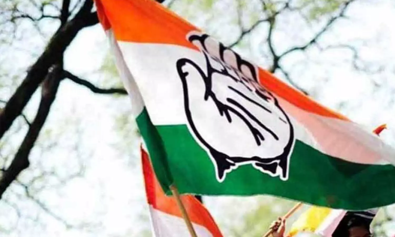 ചിത്രം ഇല്ലാത്തതിന്റെ പേരില് അംഗത്വം അസാധുവാകില്ല: കെ.പി.സി.സി ചിത്രം ഇല്ലാത്തതിന്റെ പേരില് അംഗത്വം അസാധുവാകില്ല: കെ.പി.സി.സി