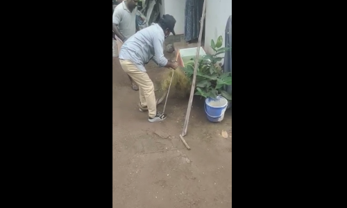 പാമ്പു പിടിക്കുന്നതിനിടെ പാമ്പു പിടിത്തക്കാരന് കടിയേറ്റു; കടിയേറ്റിട്ടും പിടിച്ചു കുപ്പിയിലാക്കി സന്തോഷ്