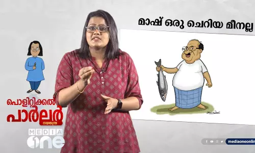 മാഷ് ഒരു ചെറിയ മീനല്ല