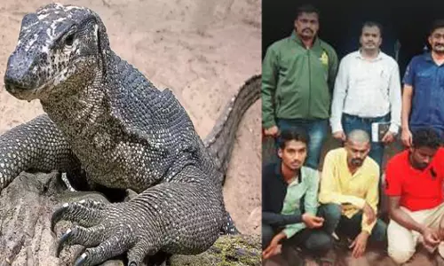 ഉടുമ്പിനെ ക്രൂരമായി ബലാത്സംഗം ചെയ്ത നാല് പേർ അറസ്റ്റിൽ