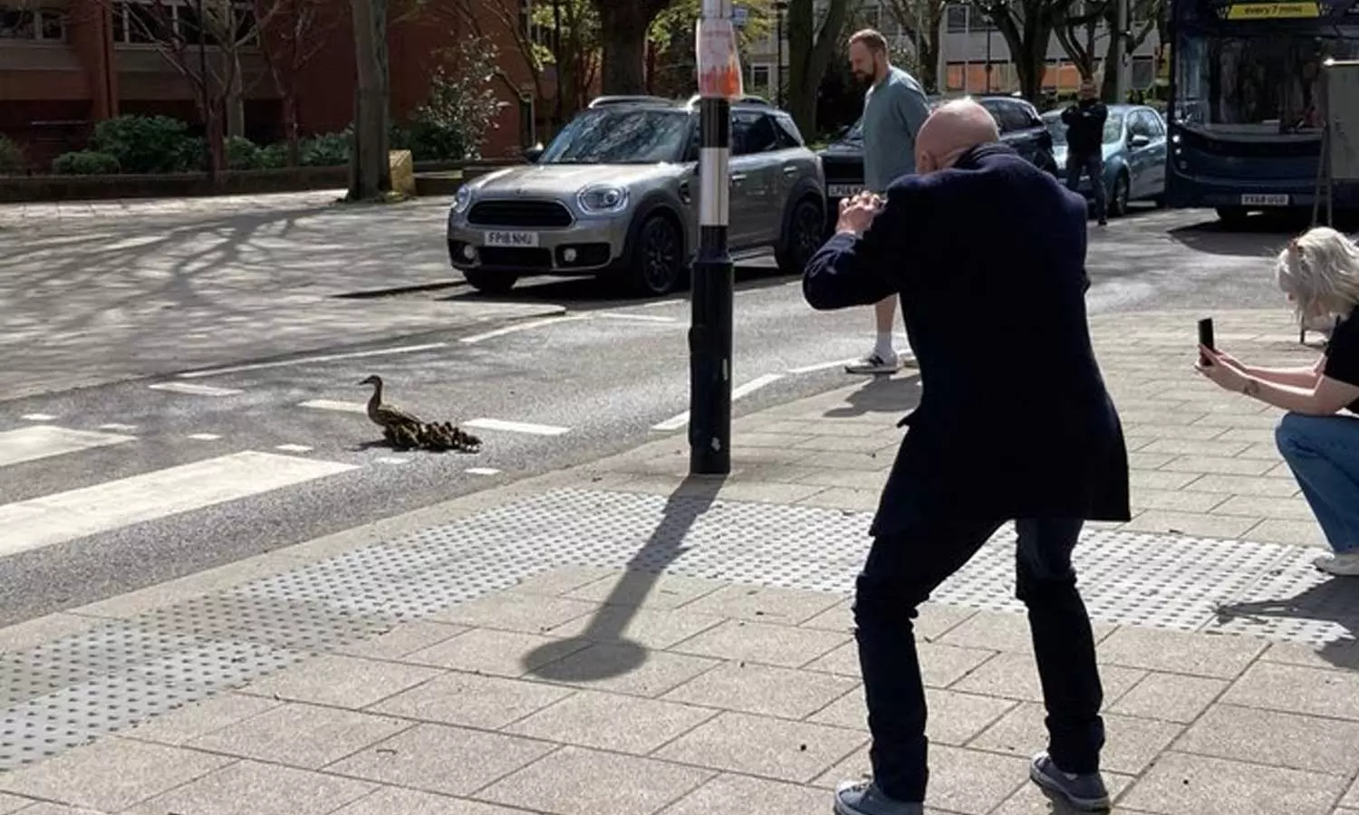 താറാവിനും കുഞ്ഞുങ്ങൾക്കും റോഡ് മുറിച്ചുകടക്കാൻ ഹോൺപോലും മുഴക്കാതെ വാഹനങ്ങൾ നിർത്തിയത് 15 മിനിറ്റ്