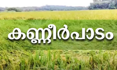 വേനൽമഴ: കുട്ടനാട്ടിൽ 113 കോടിയുടെ കൃഷിനാശം