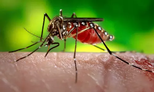 ഒമാനിൽ സിക്ക വൈറസ്ബാധയില്ല; സമൂഹമാധ്യമങ്ങളിൽ നടക്കുന്നത് വ്യാജപ്രചാരണമെന്ന് ആരോഗ്യമന്ത്രാലയം ഒമാനിൽ സിക്ക വൈറസ്ബാധയില്ല; സമൂഹമാധ്യമങ്ങളിൽ നടക്കുന്നത് വ്യാജപ്രചാരണമെന്ന് ആരോഗ്യമന്ത്രാലയം