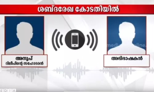 മഞ്ജുവും ശ്രീകുമാറും അടുപ്പത്തിലാണെന്നും ദിലീപിന് ശത്രുക്കളുണ്ടെന്നും പറയണം; സാക്ഷിയെ സ്വാധീനിക്കുന്ന അഭിഭാഷകന്റെ ശബ്ദരേഖ പുറത്ത്