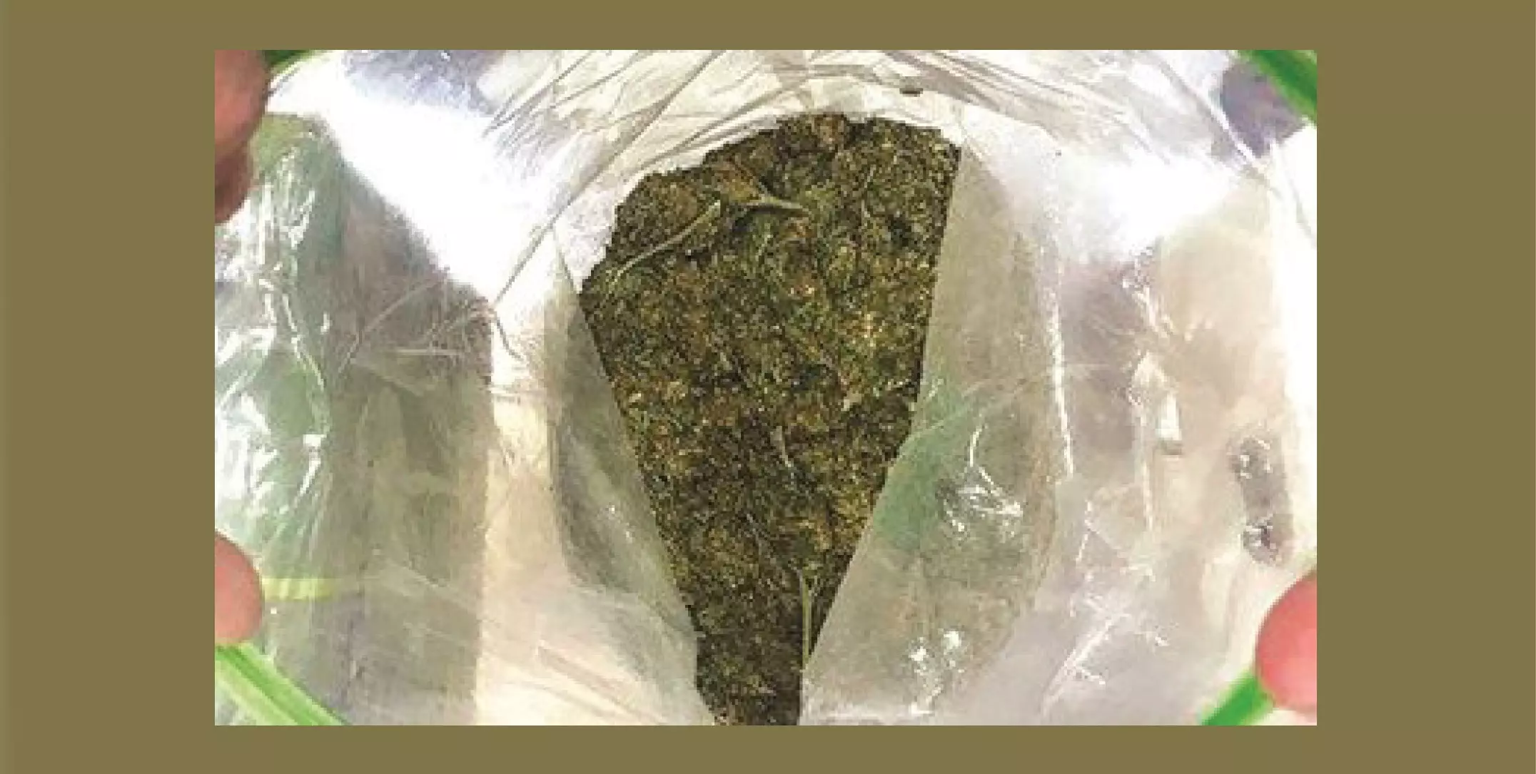 കഞ്ചാവുമായി വിദേശ വനിത കുവൈത്ത് വിമാനത്താവളത്തില്‍ പിടിയില്‍