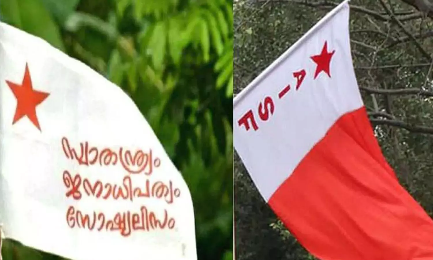 എസ്.എഫ്.ഐ ഫാസിസ്റ്റ് സംഘടന, അവർ കായികമായി അടിച്ചമർത്തുന്നു: എ.ഐ.എസ്.എഫ് എസ്.എഫ്.ഐ ഫാസിസ്റ്റ് സംഘടന, അവർ കായികമായി അടിച്ചമർത്തുന്നു: എ.ഐ.എസ്.എഫ്