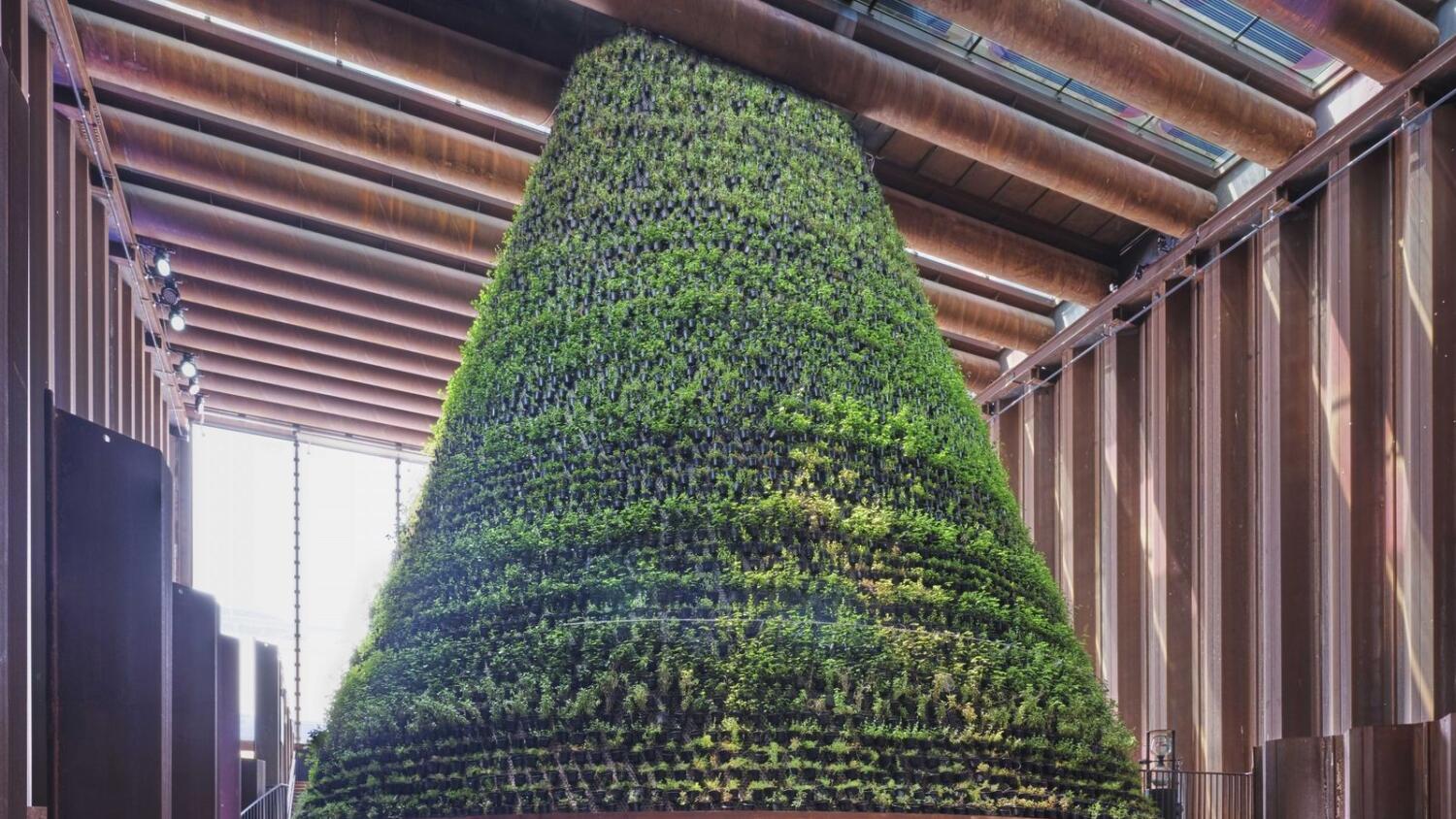 എക്സ്പോയിലെ നെതർലൻഡ്സ് പവലിയനിലെ മഷ്റൂം ഫാം ദുബൈയിൽ തന്നെ തുടരും