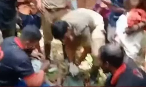 മരത്തിൽ നിന്ന് വീണ് യുവാവ് മരിച്ചു; ഭയന്നോടുന്നതിനിടെ യുവതിയുടെ കൈയിൽ നിന്ന് വീണ് പിഞ്ചുകുഞ്ഞിന് ദാരുണാന്ത്യം