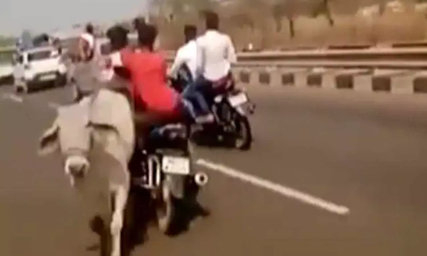 ബൈക്ക് പശുവുമായി കൂട്ടിയിടിച്ച് അപകടം; ചന്ദ്രശേഖർ ആസാദിന് അകമ്പടിപോയ അനുയായി മരിച്ചു