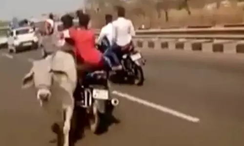 ബൈക്ക് പശുവുമായി കൂട്ടിയിടിച്ച് അപകടം; ചന്ദ്രശേഖർ ആസാദിന് അകമ്പടിപോയ അനുയായി മരിച്ചു