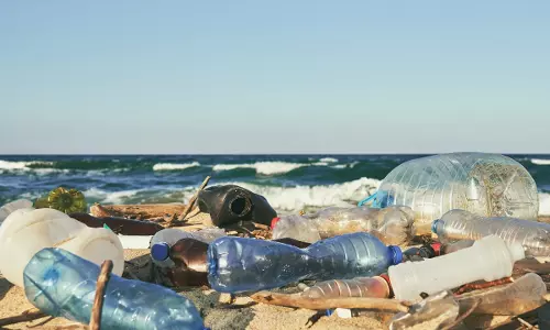 പ്ലാസ്റ്റിക് പെറുക്കല്‍ മത്സരം; കുവൈത്ത് പരിസ്ഥിതി  അതോറിറ്റി ശേഖരിച്ചത് 2,514 കിലോഗ്രാം പ്ലാസ്റ്റിക് മാലിന്യം