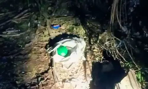 കഴക്കൂട്ടത്ത് നാടൻ ബോംബുശേഖരം കണ്ടെത്തി; പിടിച്ചെടുത്തത് 12 ബോംബുകൾ കഴക്കൂട്ടത്ത് നാടൻ ബോംബുശേഖരം കണ്ടെത്തി; പിടിച്ചെടുത്തത് 12 ബോംബുകൾ