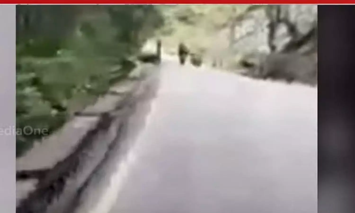 താമരശ്ശേരി ചുരത്തിൽ പാറക്കല്ല് വീണ് ബൈക്ക് യാത്രികൻ മരിച്ച സംഭവം: ദൃശ്യങ്ങൾ മീഡിയവണിന്