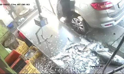 നിയന്ത്രണം വിട്ട കാര് മീന്കടയിലേക്ക് പാഞ്ഞു കയറിയ സംഭവം; സിസിടിവി ദൃശ്യങ്ങൾ പുറത്ത് നിയന്ത്രണം വിട്ട കാര് മീന്കടയിലേക്ക് പാഞ്ഞു കയറിയ സംഭവം; സിസിടിവി ദൃശ്യങ്ങൾ പുറത്ത്