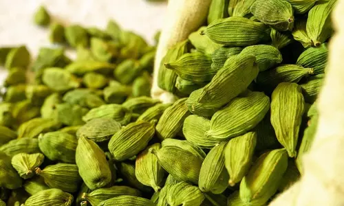 വില കുത്തനെ ഇടിഞ്ഞു; പ്രതിസന്ധിയിലായി ഏലം കർഷകർ