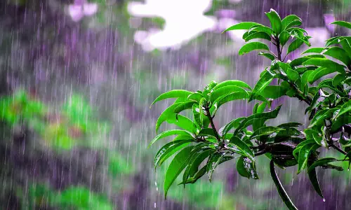 സംസ്ഥാനത്ത് ഇന്നും നാളെയും ഒറ്റപ്പെട്ട ശക്തമായ മഴക്ക് സാധ്യത സംസ്ഥാനത്ത് ഇന്നും നാളെയും ഒറ്റപ്പെട്ട ശക്തമായ മഴക്ക് സാധ്യത