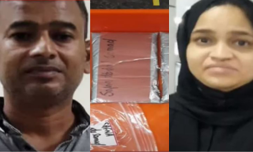 കരിപ്പൂരിൽ വൻ സ്വർണവേട്ട; ദമ്പതികൾ പിടിയിൽ