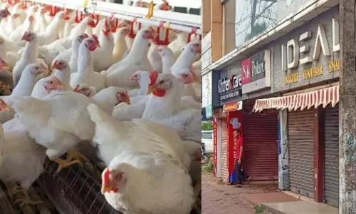 ഷവർമ കടയിലേക്ക് ഇറച്ചി നൽകിയ കോഴിക്കടയ്ക്ക് ലൈസൻസില്ല;  ഭക്ഷ്യസുരക്ഷവകുപ്പ് കട അടപ്പിച്ചു