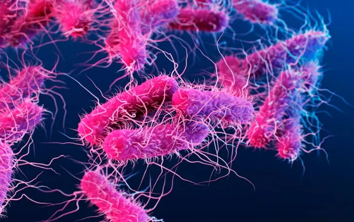 കാസർകോട്ടെ ഭക്ഷ്യവിഷബാധയ്ക്ക് കാരണം ഷിഗെല്ലയെന്ന് സ്ഥിരീകരിച്ചു