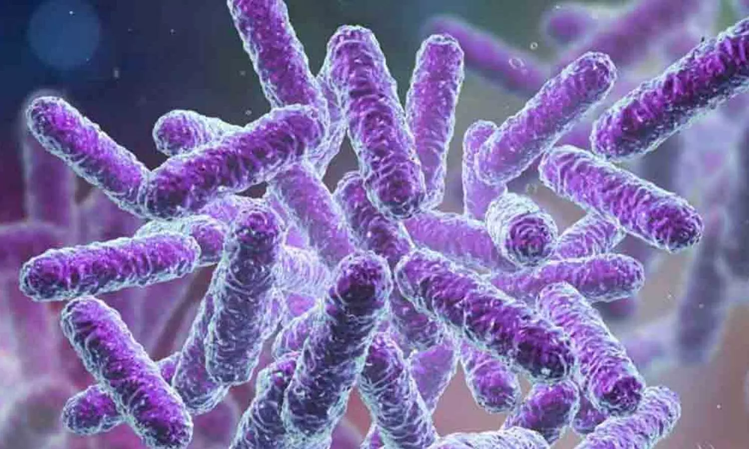 ഷിഗല്ല സ്ഥിരീകരിച്ച് ചികിത്സയിലുള്ള നാല് കുട്ടികളുടെ ആരോഗ്യനില തൃപ്തികരം ഷിഗല്ല സ്ഥിരീകരിച്ച് ചികിത്സയിലുള്ള നാല് കുട്ടികളുടെ ആരോഗ്യനില തൃപ്തികരം