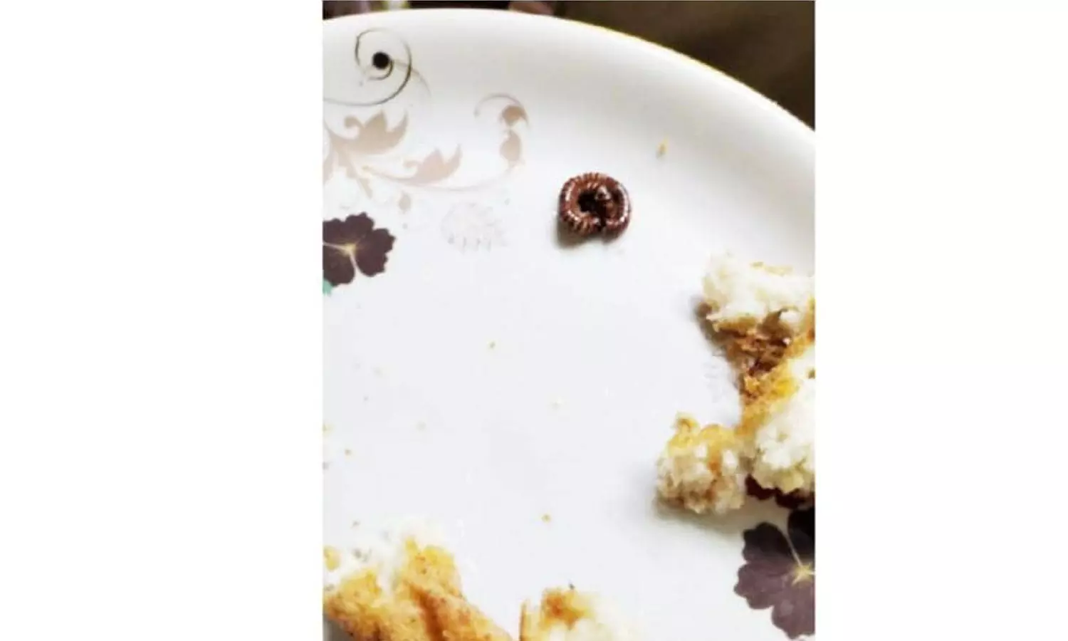 കാസർകോട് ജില്ലാ ആശുപത്രിയിലെ ലഘുഭക്ഷണശാലയിലെ ഉഴുന്നുവടയിൽ തേരട്ട കാസർകോട് ജില്ലാ ആശുപത്രിയിലെ ലഘുഭക്ഷണശാലയിലെ ഉഴുന്നുവടയിൽ തേരട്ട