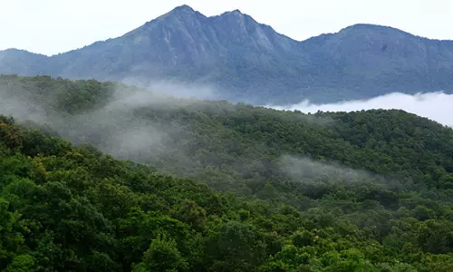 സൈലന്‍റ് വാലി വനത്തിൽ കാണാതായ വാച്ചർ രാജനെ മൂന്നാം ദിവസവും കണ്ടെത്താനായില്ല