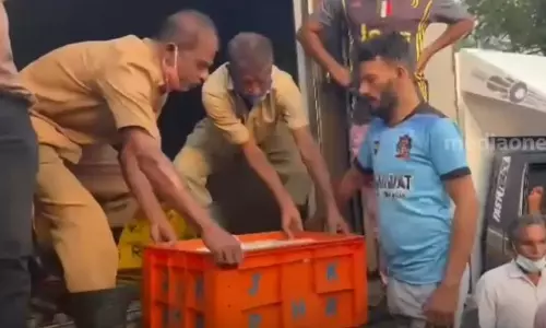 കാസർകോട് നിന്ന് 200 കിലോ പഴകിയ മത്സ്യം പിടികൂടി