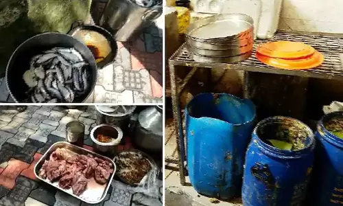 ലൈസൻസ് ഇല്ലാത്ത 142 കടകൾക്കെതിരെ നടപടി: സംസ്ഥാനത്ത് ഭക്ഷ്യസുരക്ഷ വകുപ്പിന്റെ പരിശോധന തുടരുന്നു