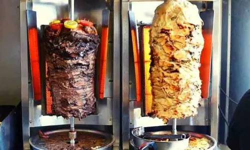 കാസർകോട്ടെ ഷവർമ സാംപിളിൽ ഷിഗല്ല, സാൽമൊണല്ല സാന്നിധ്യം- പരിശോധനാ ഫലം പുറത്ത്