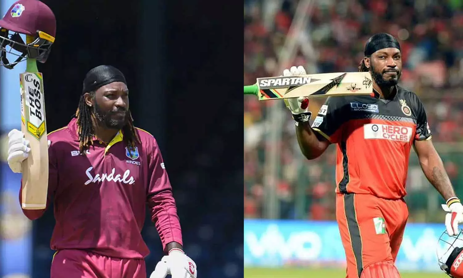 അർഹിച്ച അംഗീകാരം ലഭിച്ചില്ല, അടുത്ത സീസണിൽ ഐപിഎല്ലിലേക്ക് തിരിച്ചെത്തും: ക്രിസ് ഗെയിൽ അർഹിച്ച അംഗീകാരം ലഭിച്ചില്ല, അടുത്ത സീസണിൽ ഐപിഎല്ലിലേക്ക് തിരിച്ചെത്തും: ക്രിസ് ഗെയിൽ