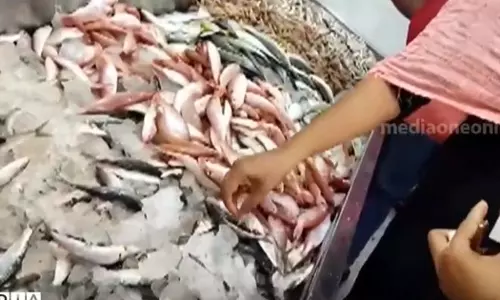 മീൻ കഴിച്ച കുട്ടികൾക്ക് ഭക്ഷ്യവിഷബാധ; മൂവാറ്റുപുഴയിൽ പരിശോധന, ആറ് കിലോ പഴകിയ മീൻ നശിപ്പിച്ചു