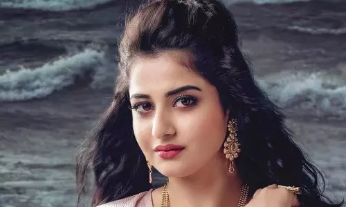  ഭക്ഷണം നൽകാതെ പട്ടിണിക്കിട്ടു; ചില ദിവസങ്ങളിൽ കഴിച്ചത് ഒന്നോ രണ്ടോ കഷ്ണം ബ്രഡ്; മോഡല്‍ ഷഹനയുടെ ഡയറിക്കുറിപ്പ് പുറത്ത്