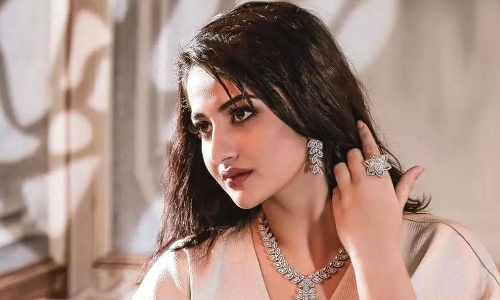 ആത്മഹത്യയല്ല, അവളെ കൊന്നു; ഭർത്താവ് സജ്ജാദിനെതിരെ നടി ഷഹനയുടെ കുടുംബം