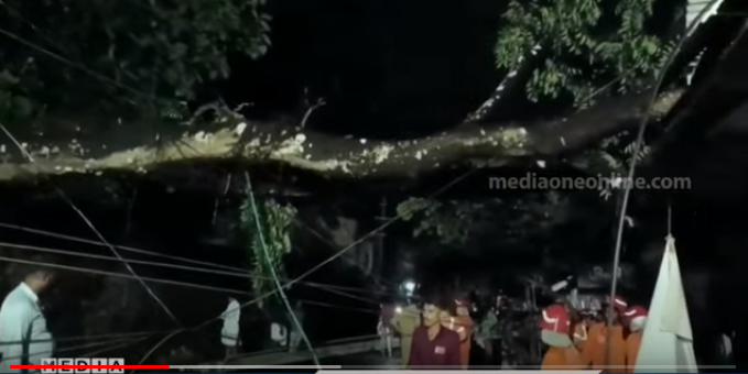 നാദാപുരത്ത് മരം കടപുഴകി വീണു വന്‍നാശനഷ്ടം; ഇലക്ട്രിക് പോസ്റ്റുകള്‍ റോഡില്‍ മറിഞ്ഞ് നാല് പേര്‍ക്ക് വൈദ്യുതാഘാതമേറ്റു
