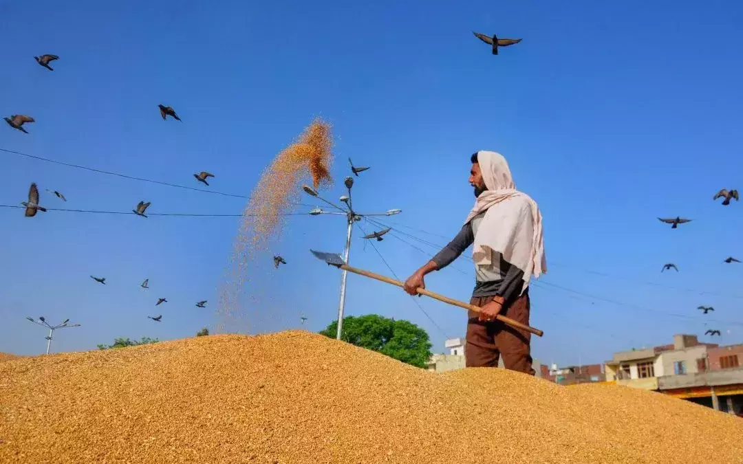 ഗോതമ്പ് കയറ്റുമതി നിരോധനം; കുവൈത്തില് ഭക്ഷ്യോത്പന്നങ്ങളുടെ വിലവര്ദ്ധനക്ക് സാധ്യത ഗോതമ്പ് കയറ്റുമതി നിരോധനം; കുവൈത്തില് ഭക്ഷ്യോത്പന്നങ്ങളുടെ വിലവര്ദ്ധനക്ക് സാധ്യത