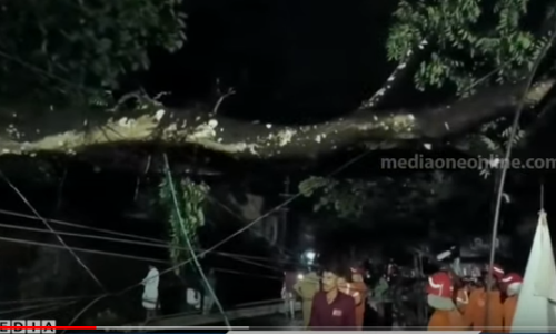 നാദാപുരത്ത് മരം കടപുഴകി വീണു വന്‍നാശനഷ്ടം; ഇലക്ട്രിക് പോസ്റ്റുകള്‍ റോഡില്‍ മറിഞ്ഞ് നാല് പേര്‍ക്ക് വൈദ്യുതാഘാതമേറ്റു