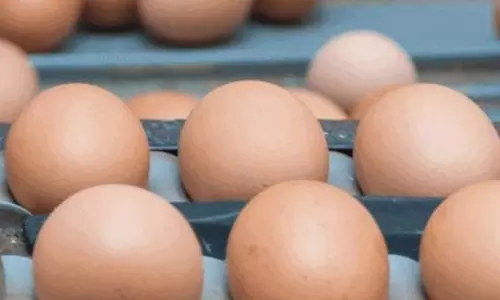 പക്ഷിപ്പനി ഭീതി; ഫ്രാന്‍സില്‍നിന്നുള്ള  കോഴിയിറച്ചിക്കും മുട്ടക്കും താത്കാലിക നിരോധനം