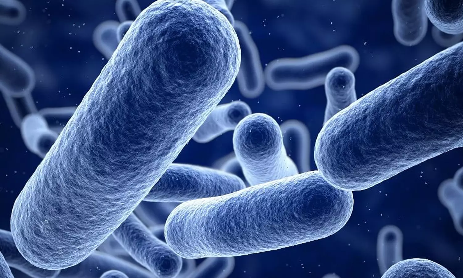 കാസർകോട് കിണർവെള്ളത്തിൽ ഷിഗെല്ല സാന്നിധ്യം കണ്ടെത്തി കാസർകോട് കിണർവെള്ളത്തിൽ ഷിഗെല്ല സാന്നിധ്യം കണ്ടെത്തി