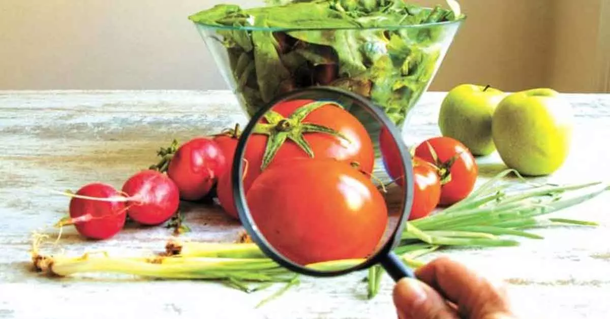 ഭക്ഷ്യസുരക്ഷ വകുപ്പില് സൗകര്യങ്ങളില്ല, 41 തസ്തികള് ഒഴിഞ്ഞുകിടക്കുന്നു ഭക്ഷ്യസുരക്ഷ വകുപ്പില് സൗകര്യങ്ങളില്ല, 41 തസ്തികള് ഒഴിഞ്ഞുകിടക്കുന്നു