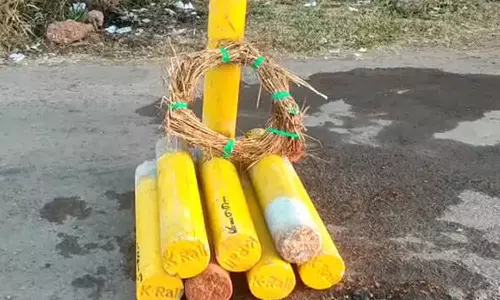 ആർക്കും വേണ്ടാതെ കെ റയിൽ കുറ്റികൾ; കണ്ണൂരിൽ മാത്രം ആറായിരത്തോളം കുറ്റികൾ കെട്ടി കിടക്കുന്നു