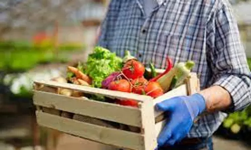 ആഗോള ഭക്ഷ്യസുരക്ഷ; ജി.സി.സി രാജ്യങ്ങളില്‍ ഖത്തര്‍ ഒന്നാമത്