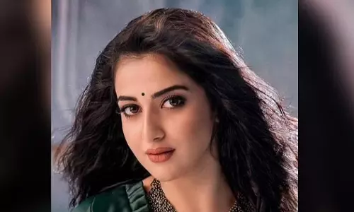 വിവാഹം കഴിഞ്ഞ് ഒരു മാസത്തിനകം പ്രശ്നങ്ങള്‍ തുടങ്ങി: ഷഹനയുടെ ഭര്‍ത്താവിനെതിരെ ബന്ധുക്കളുടെ മൊഴി