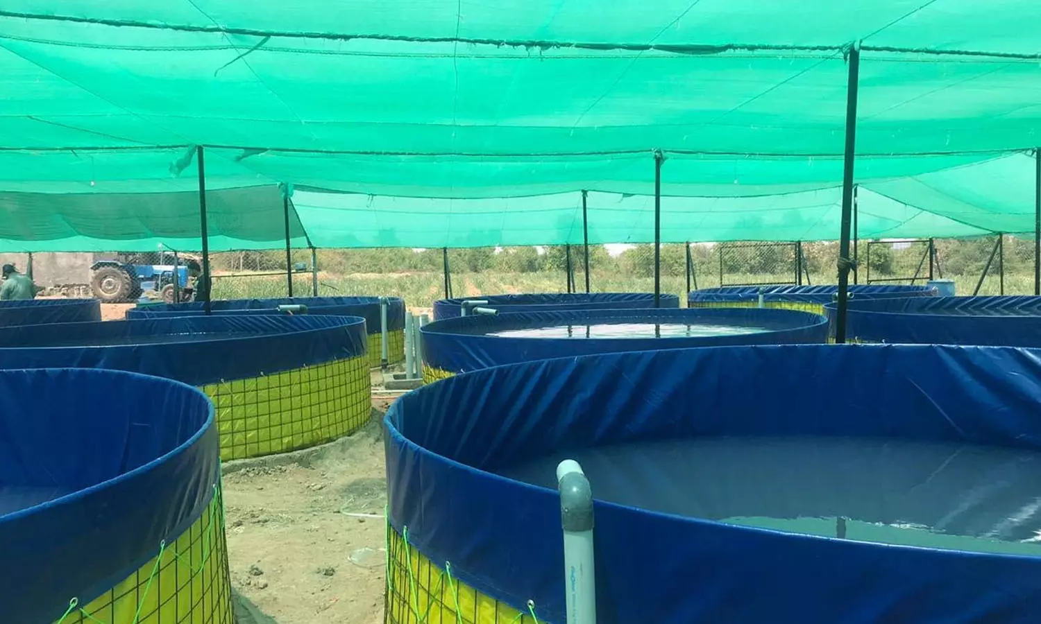 ബയോ ഫ്ലോക്ക് മത്സ്യ കൃഷി പരാജയമാകുന്നു; തിരിച്ചടി നേരിട്ട് ആയിരക്കണക്കിന് കർഷകർ ബയോ ഫ്ലോക്ക് മത്സ്യ കൃഷി പരാജയമാകുന്നു; തിരിച്ചടി നേരിട്ട് ആയിരക്കണക്കിന് കർഷകർ