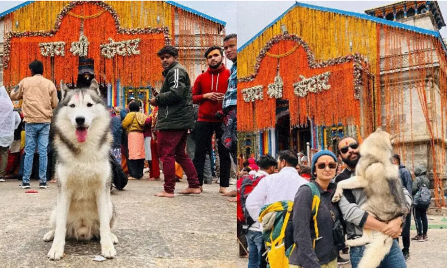 കേദാർനാഥിലേക്ക് വളർത്തുനായയെ കൊണ്ടുപോയി; വ്ളോഗർക്കെതിരെ പരാതിയുമായി ക്ഷേത്രം അധികൃതർ കേദാർനാഥിലേക്ക് വളർത്തുനായയെ കൊണ്ടുപോയി; വ്ളോഗർക്കെതിരെ പരാതിയുമായി ക്ഷേത്രം അധികൃതർ