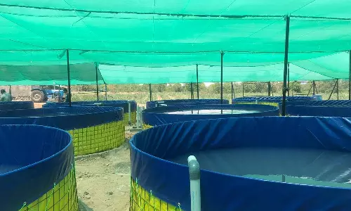 ബയോ ഫ്ലോക്ക് മത്സ്യ കൃഷി പരാജയമാകുന്നു; തിരിച്ചടി നേരിട്ട് ആയിരക്കണക്കിന് കർഷകർ ബയോ ഫ്ലോക്ക് മത്സ്യ കൃഷി പരാജയമാകുന്നു; തിരിച്ചടി നേരിട്ട് ആയിരക്കണക്കിന് കർഷകർ