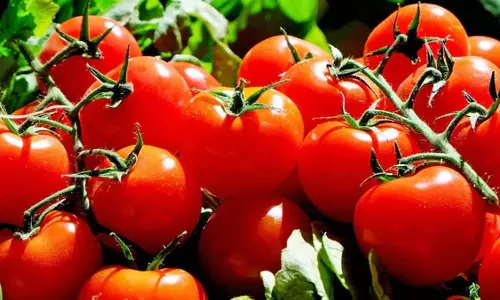 ഒരു കിലോ തക്കാളിക്ക് 100 രൂപ; പച്ചക്കറി വാങ്ങിയാല്‍ കൈ പൊള്ളും