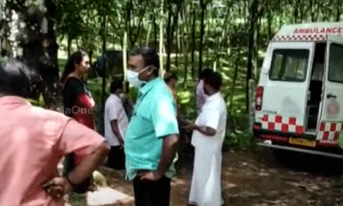 വിതുരയിൽ ഷോക്കേറ്റ് മരിച്ച വയോധികനെ തിരിച്ചറിഞ്ഞു; ഷോക്കേറ്റത് കാട്ടുപന്നിയെ തുരത്താൻ സ്ഥാപിച്ച വൈദ്യുത കമ്പിയിൽ നിന്ന്